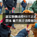嘉实物美消费REIT正式获批 首只民企消费基础设施公募REITs将发行(图3)