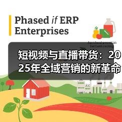短视频直播带货：创新逻辑与沉浸式体验引领营销未来(图4)