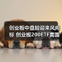 创业板中盘股迎来风向标 创业板200ETF富国今日首发(图2) 创业板中盘ETF引爆投资热潮,布局高成长赛道(图2)