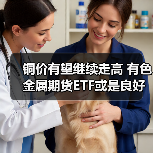 铜价有望继续走高 有色金属期货ETF或是良好“入门款”工具(图2)