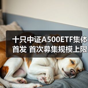 十只中证A500ETF集体首发 首次募集规模上限均为20亿元(图2) 十只中证A500ETF集体首发 首次募集规模上限均为20亿元(图2)