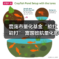 震荡市量化基金“能扛能打” 富国致航量化 - 百博资讯