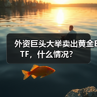 外资巨头大举卖出黄金ETF，什么情况？(图1)