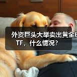 外资巨头大举卖出黄金ETF，什么情况？(图2)