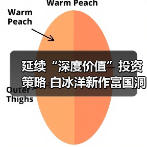 延续“深度价值”投资策略 白冰洋新作富国洞见价值股票型基金即将发行(图2)