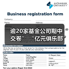 2024上半年基金公司业绩分化 长盛等机构逆势增长(图4)