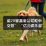 2024上半年基金公司业绩分化 长盛等机构逆势增长(图1)