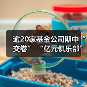 2024上半年基金公司业绩分化 长盛等机构逆势增长(图2)