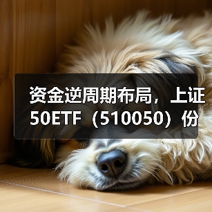 上证50ETF份额创新高，凸显低估值龙头配置价值(图3)