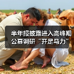 半年报披露进入高峰期 公募调研“开足马力”(图1) 公募机构调研热情升温,电子医药受青睐,美联储降息预期提振A股修复(图1)