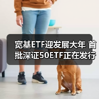 宽基ETF新利器：深证50ETF发行加速市场配置(图2)