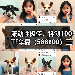 科创100ETF交易活跃 盈利预期升温(图1)