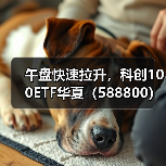 科创100ETF华夏午后拉升，高赔率引资金抢筹(图1)