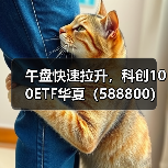 科创100ETF华夏午后拉升，高赔率引资金抢筹(图4)