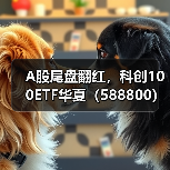 科创100ETF领涨同类 两券商看好长期配置机会(图2)