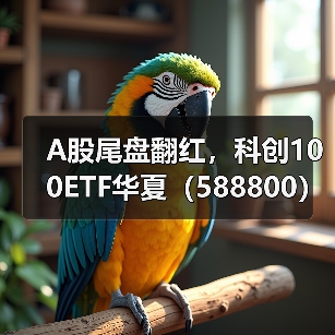 科创100ETF领涨同类 两券商看好长期配置机会(图1)