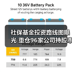 社保基金投资路线图曝光 重仓96家公司持股市值超250亿元(图1)