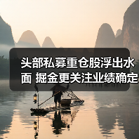 头部私募重仓股浮出水面 掘金更关注业绩确定性(图4)