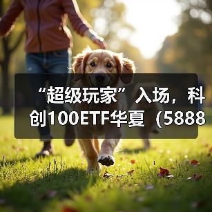 “超级玩家”入场，科创100ETF华夏（588800）明天上市(图4)