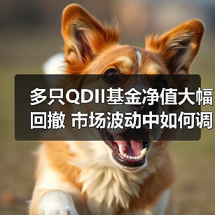 多只QDII基金净值大幅回撤 市场波动中如何调整资产配置(图4) QDII基金回调显著 黄金配置价值凸显(图4)