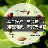 基金投资“三步走”:知己知彼,不打无准备之仗(图2) 股债混搭基金三步走:如何选对投资产品(图2)