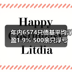年内6574只债基平均浮盈1.9% 500余只浮亏(图4) 债基收益分化加剧 投资者需关注市场波动风险(图4)
