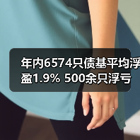 年内6574只债基平均浮盈1.9% 500余只浮亏(图3) 债基收益分化加剧 投资者需关注市场波动风险(图3)