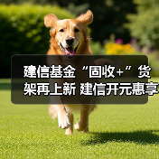 二级债基稳健收益策略解析及多元配置优势(图4)