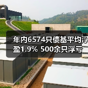 年内6574只债基平均浮盈1.9% 500余只浮亏(图2) 债基收益分化加剧 投资者需关注市场波动风险(图2)