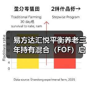 养老目标风险基金布局加速 平衡型产品成新焦点(图2)