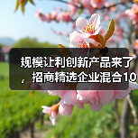 低估值布局窗口期 高成长基金引关注(图1)
