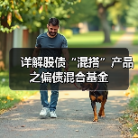 详解股债“混搭”产品之偏债混合基金(图4) 偏债混合型基金:风险收益平衡的投资选择(图4)