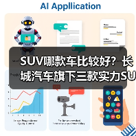 长城SUV推荐：哈弗H6、坦克300与WEY摩卡对比解析(图4)