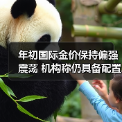 年初国际金价保持偏强震荡 机构称仍具备配置价值(图2)