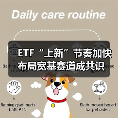 宽基ETF加速扩容，新品上市布局市场新格局(图3)