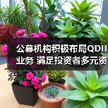 公募机构布局QDII业务加速 QDII基金规模持续增长(图2)