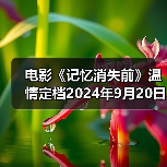 温情电影聚焦阿尔茨海默症与泰顺非遗文化(图2)