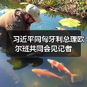 中匈建交75周年深化合作共谋发展(图1)