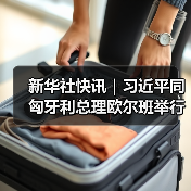 新华社快讯｜习近平同匈牙利总理欧尔班举行会谈(图4)