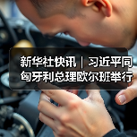 新华社快讯｜习近平同匈牙利总理欧尔班举行会谈(图2)