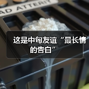 这是中匈友谊“最长情的告白”(图3)