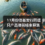 11月份债基发行回暖 多只产品提前结束募集(图3)