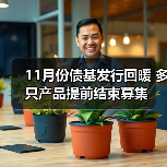 11月份债基发行回暖 多只产品提前结束募集(图4)