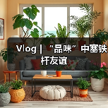 塞尔维亚跨文化之旅：美食美景与友好人民体验(图2)