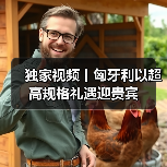 国家主席访问匈牙利 两国领导人共迎重要时刻(图2)