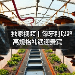 国家主席访问匈牙利 两国领导人共迎重要时刻(图3)