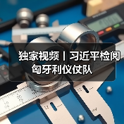 习近平检阅匈牙利仪仗队 舒尤克陪同出席(图2)