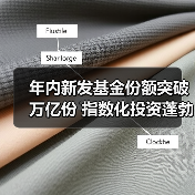 公募基金新发数量破千只 股票型基金发行份额占比超70% 政策利好推动指数化投资(图3)