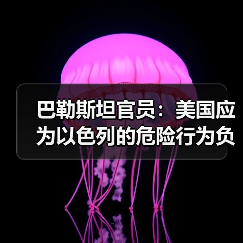 巴勒斯坦指责美国支持以色列进攻拉法或引发人道危机(图1)