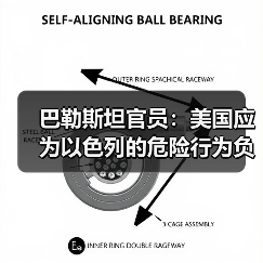 巴勒斯坦指责美国支持以色列进攻拉法或引发人道危机(图4)